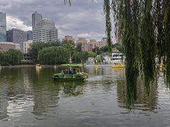 -团结湖公园