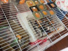 -蓝湾碧波·老字号·疍家非遗海上餐厅
