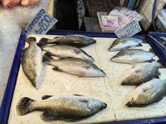 -兰坡海鲜市场