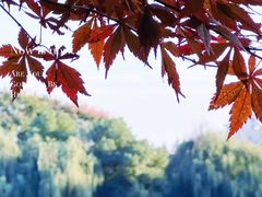 -宝岛公园