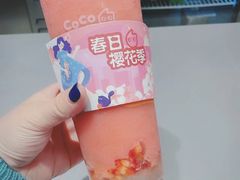 -CoCo都可(崇川万象城店)