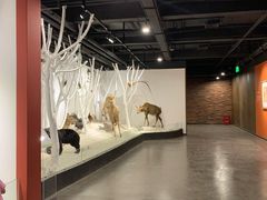 -南宫五洲植物乐园