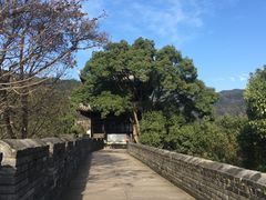 景点-台州府城(江南长城)