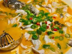 鲜椒豆花鲈鱼-川味堂·四川豆花(八卦岭店)