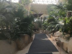 -杭州开元森泊度假乐园