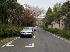 -宜兴龙背山森林公园