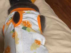 -关爱宠物医院·猫科中心·消化科(滨湖万达分院)