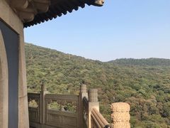-灵谷景区