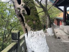 -丰都鬼城名山景区