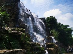 -枫香湖儿童公园