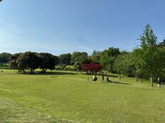 -宜兴龙背山森林公园