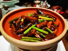 -金锅小厨(乐活街店)