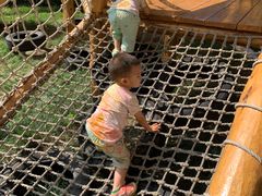 -世纪飞马幼儿园(西城校区)