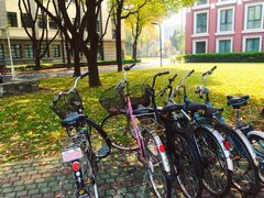 -上海财经大学(国定路校区)