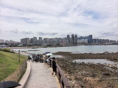 -小麦岛公园