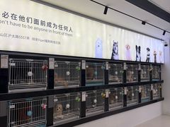 -翊宠yipet猫狗购宠庄园犬舍•猫舍