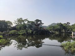 -顺峰山公园