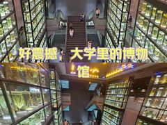 -广东中医药博物馆