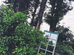 -柑橘农场