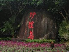 -野狸岛