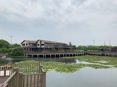 -新木器时代餐厅(太湖新天地店)