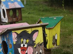 -祥源·阜阳生态乐园