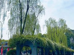 -四川大学(望江校区)