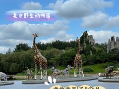 -北京野生动物园