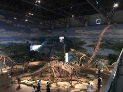 -自贡恐龙博物馆