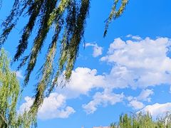 -元大都城垣遗址公园