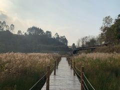 -黄龙溪欢乐田园
