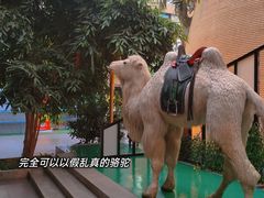 -北国之春国宴(乌兰察布店)