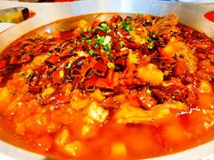 清江鱼-向川南·水煮鱼·川菜(和平里店)