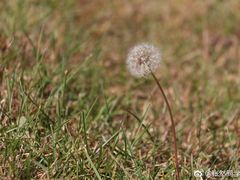 -东方削面(操场城街店)