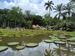 -中国科学院西双版纳热带植物园