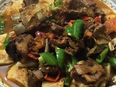 -新疆风味冷水鱼庄(友谊峰路店)