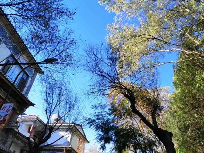 达吉香巴拉庄园-"其实是土司藏宴,跟旅行团来的,一来到围着.