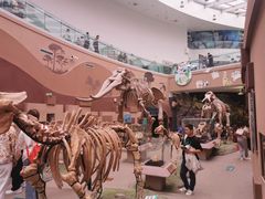 -陕西自然博物馆