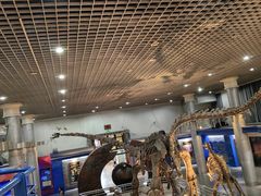 -国家自然博物馆