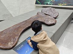 -中华赏石园