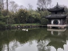 -水绘园