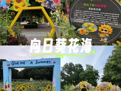 -郑州植物园