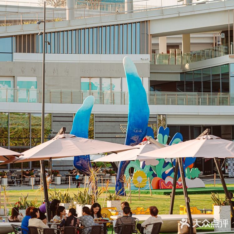 深圳海边露营咖啡🌉•摩天轮下吹浪漫海风🌊