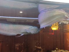 -和院老火锅铜锅烧烤海鲜(朱雀大街店)
