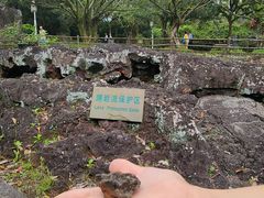 -海口火山口国家地质公园