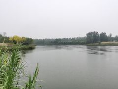 -东郊湿地公园