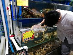 水产区-蚝专家(北滘店)