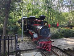 -合肥滨湖国家森林公园