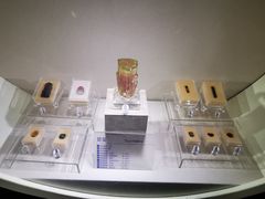 -安徽省地质博物馆