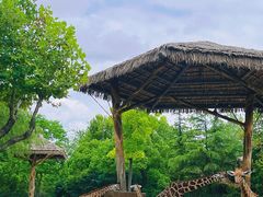 -上海野生动物园